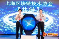 《上海区块链技术协会公告》 